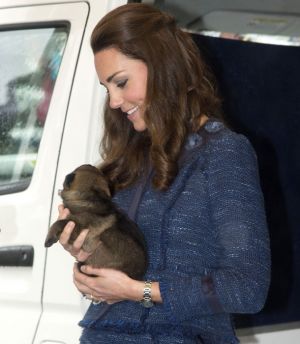 Puppy love - Prince William and Catherine Duchess of Cambridge in New Zealand on their last day.jpg